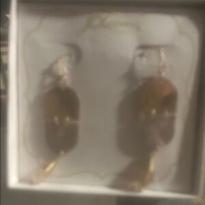 Brown and Gold Earrings
